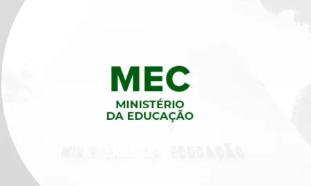 08 mec